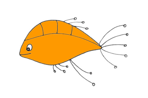 孔雀鱼怎么画 孔雀鱼简笔画步骤 孔雀鱼怎么画 孔雀鱼简笔画步骤