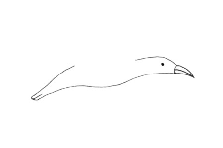 鸬鹚简笔画步骤教程