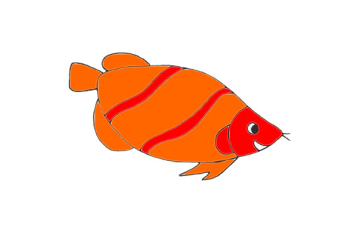 漂亮的龙鱼简笔画步骤