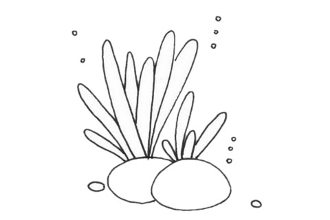 珊瑚简笔画步骤教程(珊瑚简笔画彩色可爱)