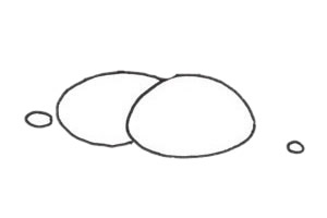 珊瑚简笔画步骤教程