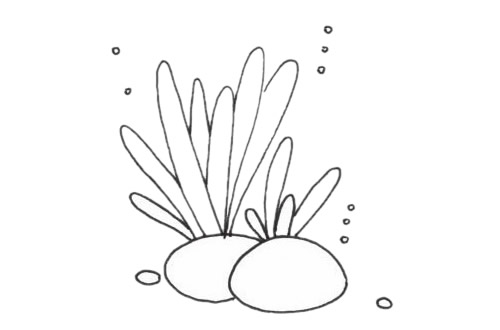 珊瑚简笔画步骤教程