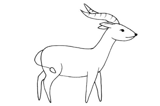 关于山羊的简笔画(山羊简笔画 简单)