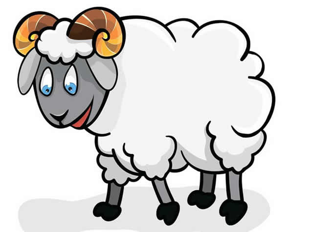 可爱的小绵羊简笔画(可爱小绵羊简笔画视频)