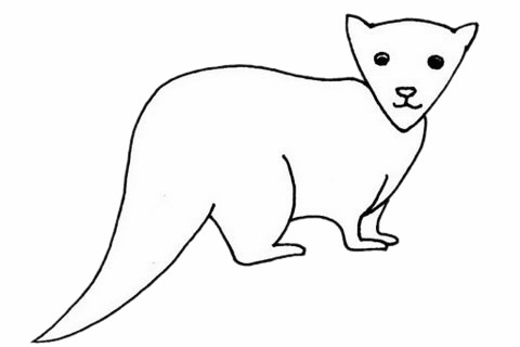 水獭简笔画步骤(水獭简笔画步骤怎么画)