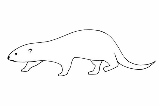 水獭儿童简笔画(水獭儿童简笔画大全)