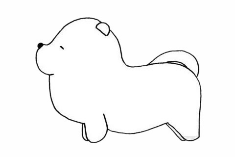 松狮犬怎么画最简单