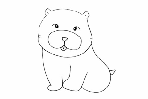 可爱的松狮犬简笔画(松狮犬可爱的图片大全)