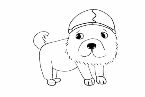 卡通松狮犬简笔画(小猫卡通简笔画)