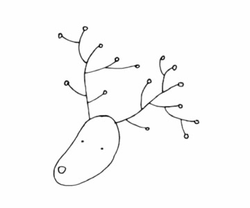 驼鹿简笔画步骤