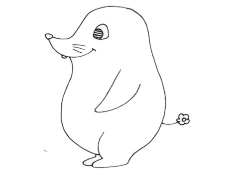 关于鼹鼠的简笔画(鼹鼠的图画)