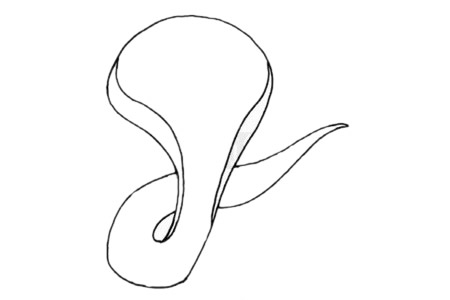 萌萌哒眼镜蛇简笔画步骤