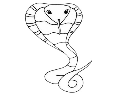 眼镜蛇卡通简笔画