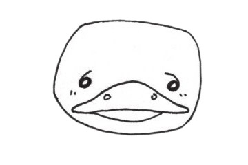 卡通鸭嘴兽简笔画步骤