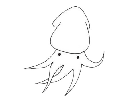 关于乌贼的简笔画(吸血乌贼简笔画)