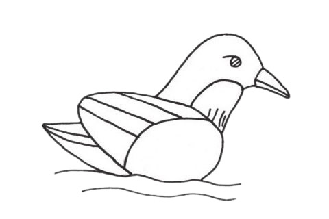 简单的鸳鸯怎么画(鸳鸯 怎么画)