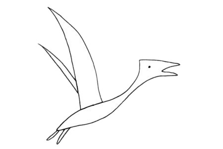 翼龙简笔画步骤