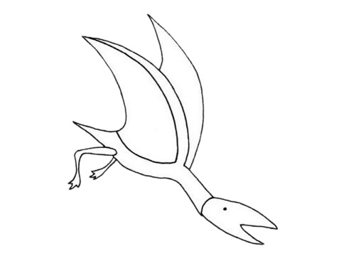 翼龙的简单画法(翼龙的画法简笔画)