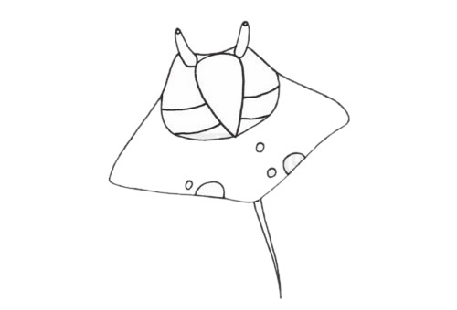 鳐鱼简笔画步骤(鲩鱼简笔画)