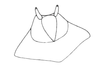 鳐鱼简笔画步骤