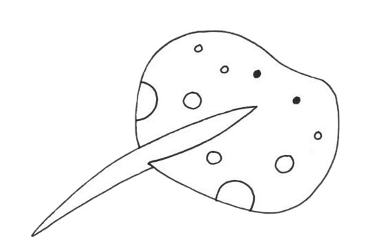 关于鳐鱼的简笔画(鲔鱼简笔画)