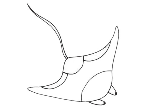 简单的鳐鱼怎么画(简单的燕子怎么画)