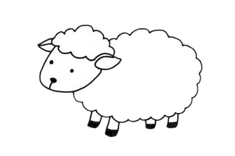 小羊儿童简笔画(小羊简笔画画)