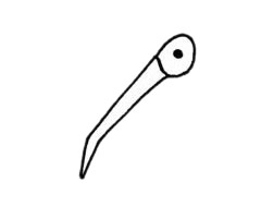 朱鹮简笔画步骤