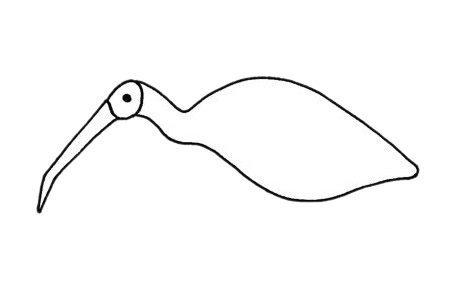 朱鹮简笔画步骤