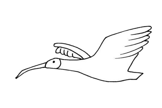 飞翔的朱鹮简笔画(飞翔的绘画)