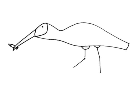 吃小鱼的朱鹮简笔画(如何修改微信群名称备注)