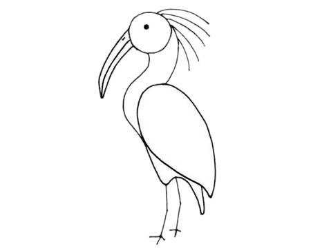 关于朱鹮的简笔画(朱鹮简笔画彩色)