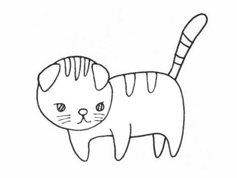 关于折耳猫的简笔画(折耳猫咪简笔画)