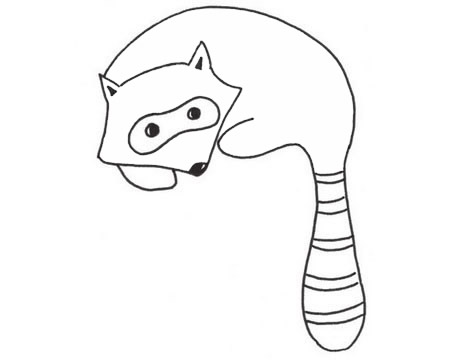 关于小浣熊的简笔画(小浣熊的简笔画)