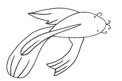 漂亮的热带鱼简笔画(简笔热带鱼的画法)