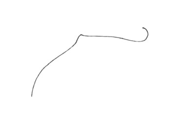 蝙蝠鱼简笔画教程