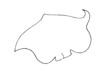 蝙蝠鱼简笔画教程