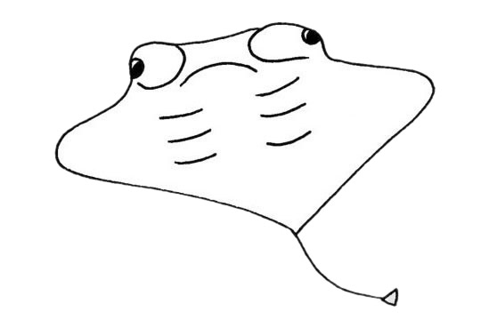 蝙蝠鱼儿童简笔画(蝙蝠鱼手绘)