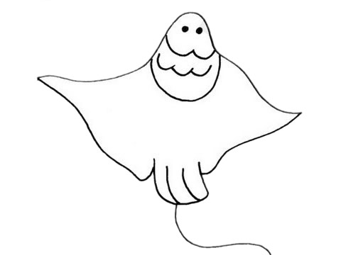 卡通的蝙蝠鱼简笔画(蝙蝠鱼手绘)