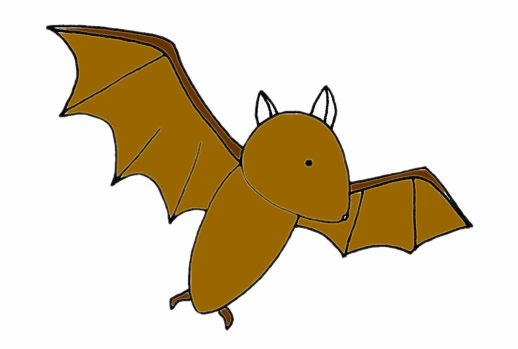 一步步教你画蝙蝠(怎样画蝙蝠最简单画法)