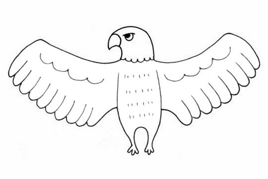 一组老鹰的简笔画大全(老鹰简笔画画法)
