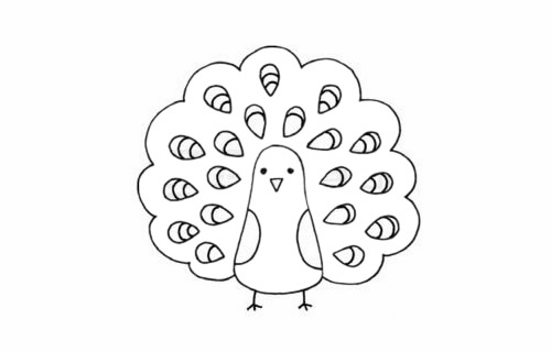 一步步教你画简单的孔雀(一步一步学画简笔画)