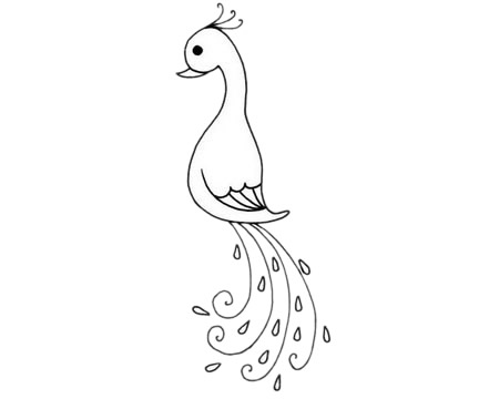 漂亮的孔雀简笔画(简笔画孔雀的十二种画法)
