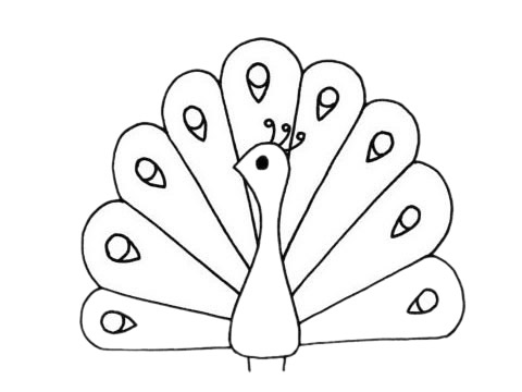 孔雀的简单画法(孔雀的简单画法(不开屏))