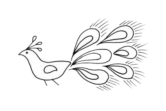 孔雀儿童简笔画(孔雀儿童简笔画大全带颜色)