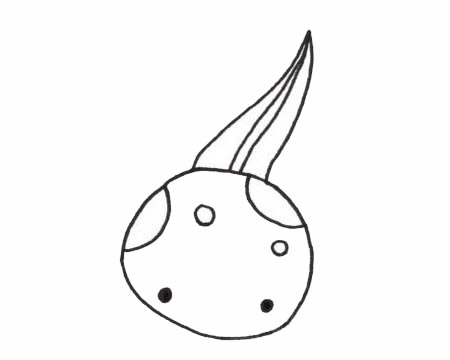 一组蝌蚪的简笔画大全(蝌蚪人简笔画)