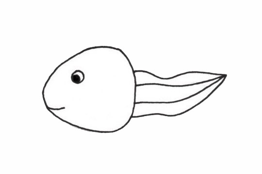 一组蝌蚪的简笔画大全