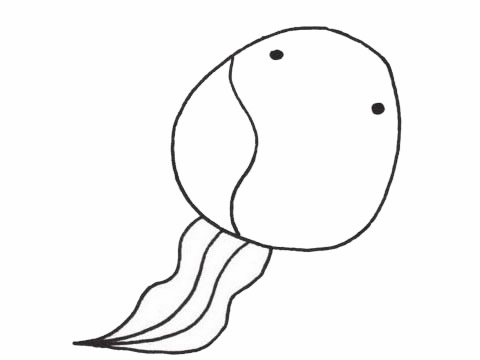 一组蝌蚪的简笔画大全