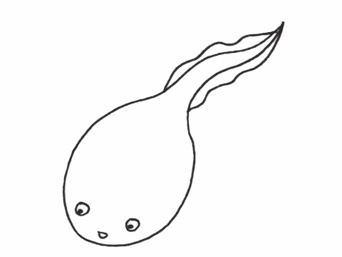 一组蝌蚪的简笔画大全