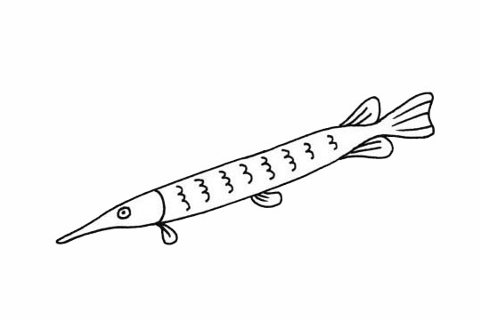 剑鱼的简单画法(剑鱼怎么画一步一步的画)